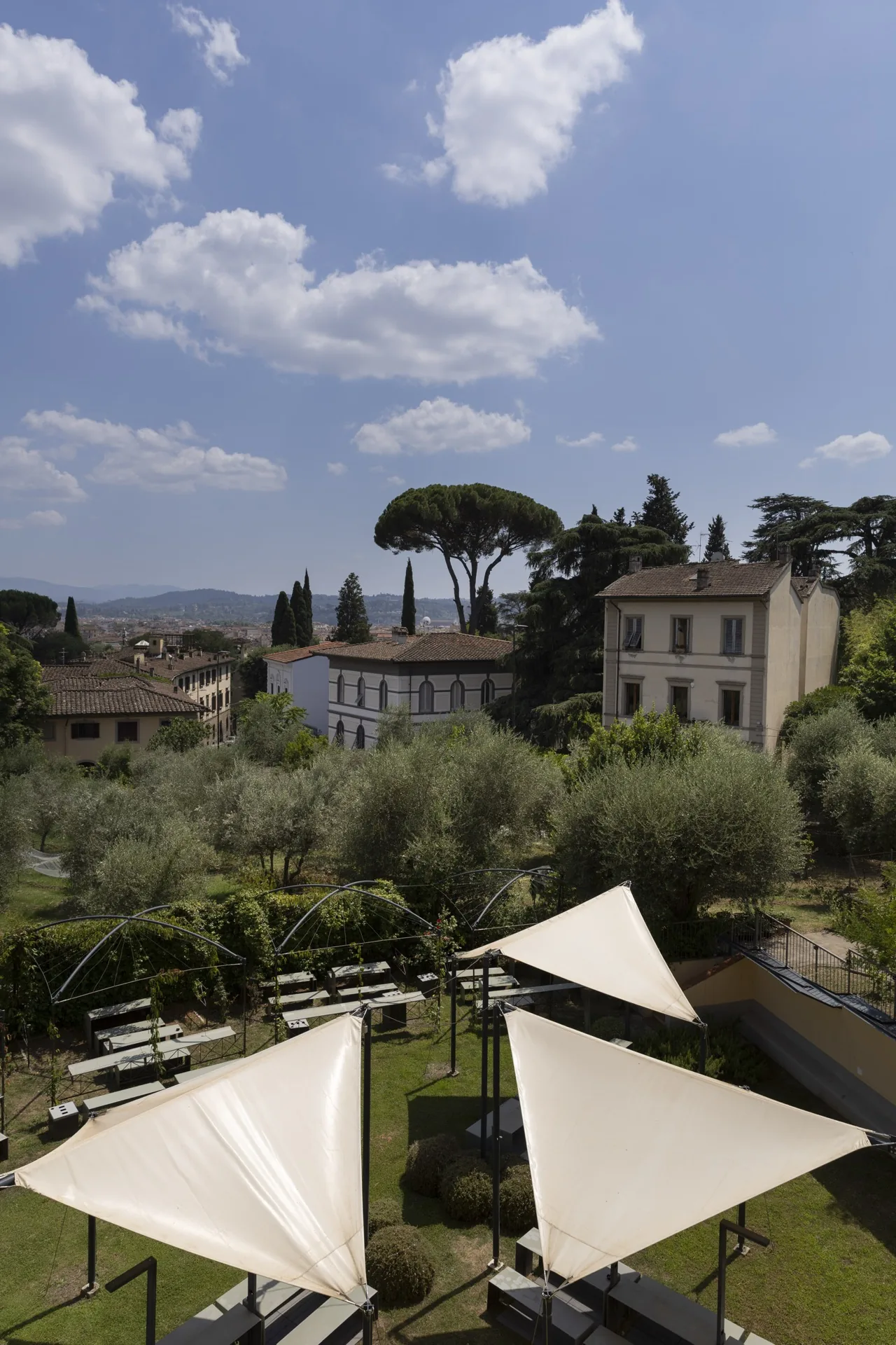 The olive garden with white canopies at the Florence campus, hills in the background
